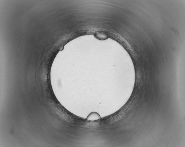 X0000111620257200908281119