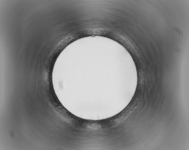 X0000111620258200908281119