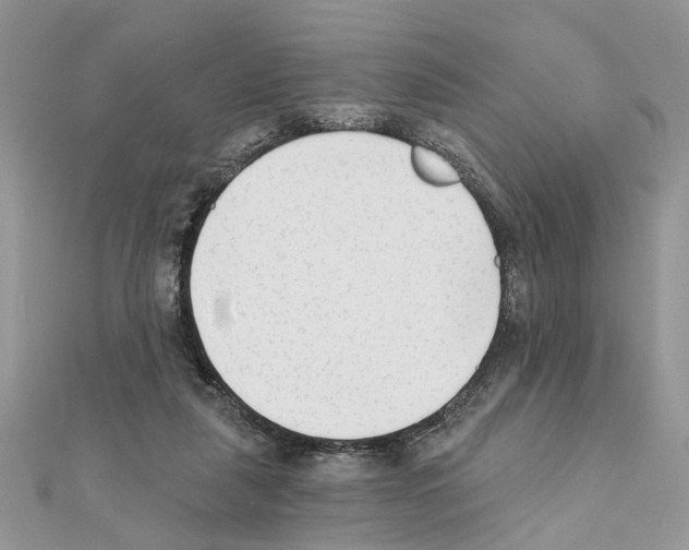 X0000111620259200908281119