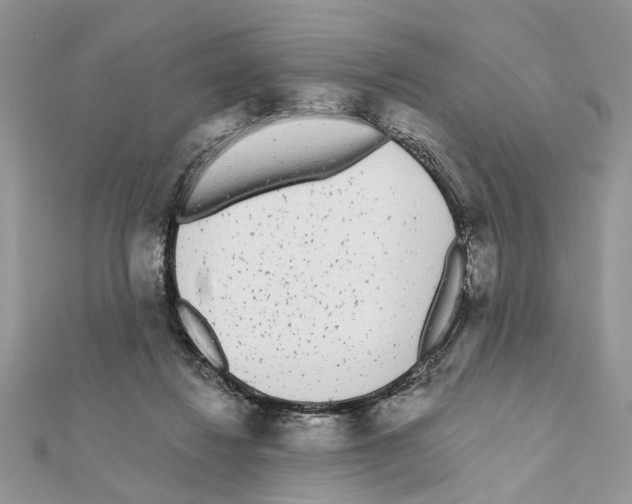 X0000111620260200908281119