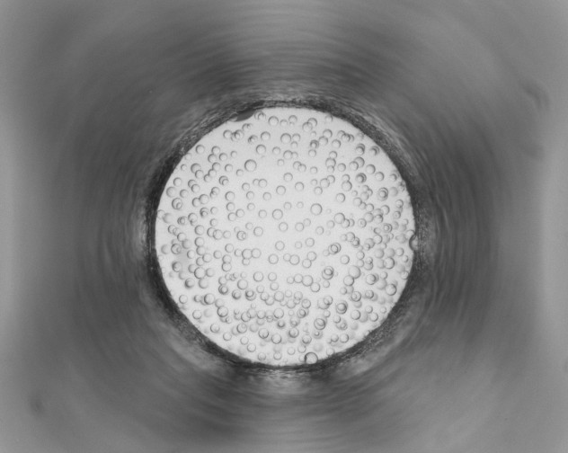 X0000111620261200908281119