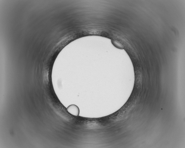 X0000111620262200908281119