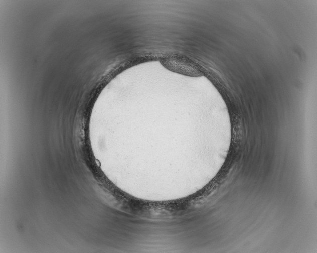 X0000111620264200908281119