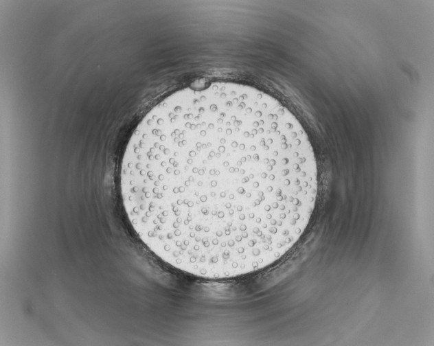 X0000111620265200908281119