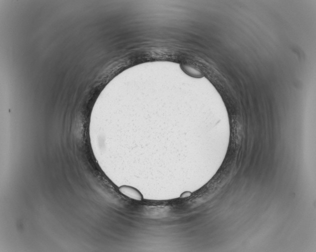 X0000111620266200908281119