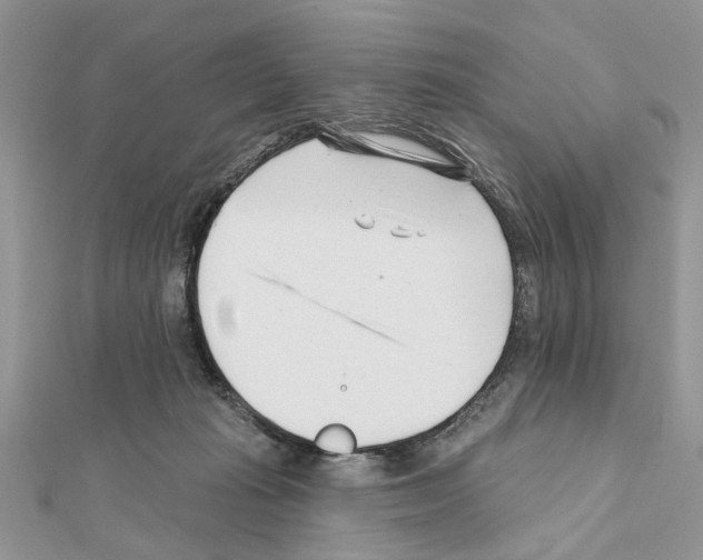 X0000111620269200908281119