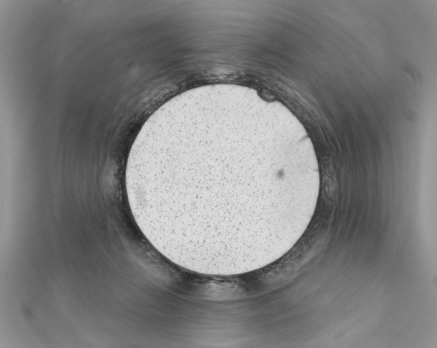 X0000111620270200908281119