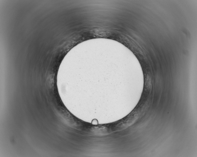 X0000111620271200908281119