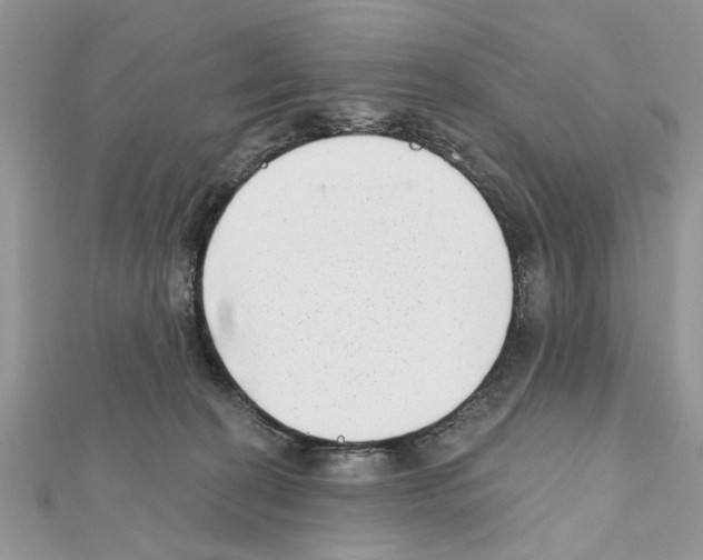 X0000111620274200908281119