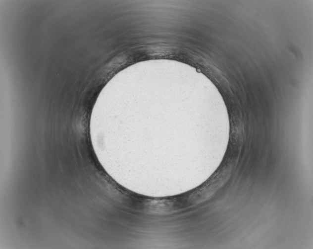 X0000111620277200908281119