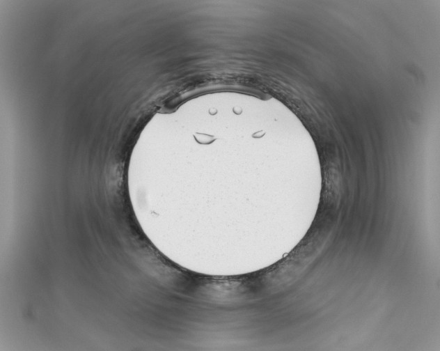 X0000111620278200908281119