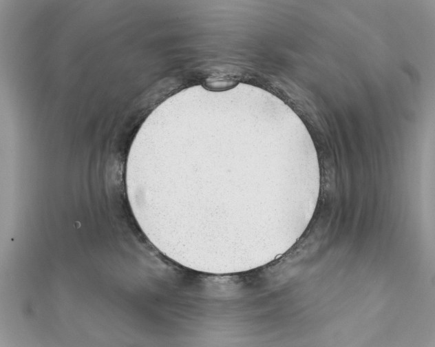 X0000111620281200908281119