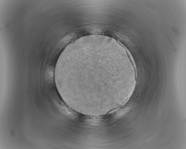 X0000111620288200908281119