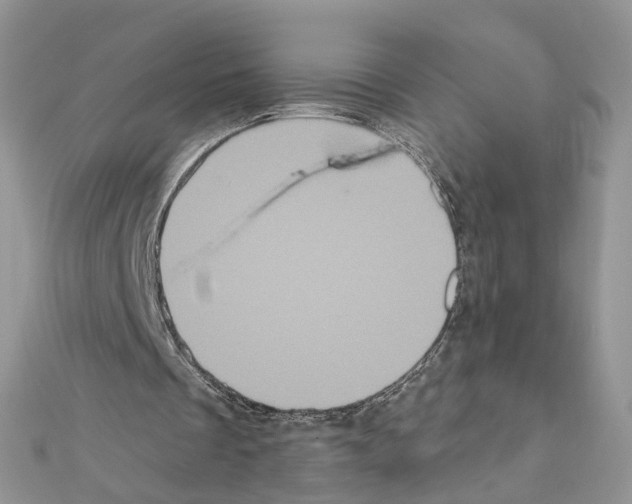 X0000111620289200908281119