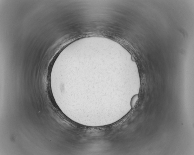 X0000111620290200908281119