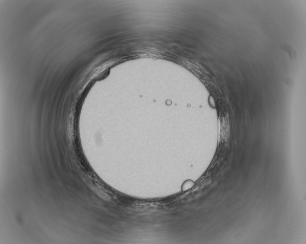 X0000111620291200908281119