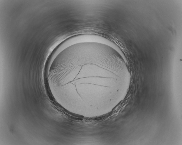 X0000111620292200908281119