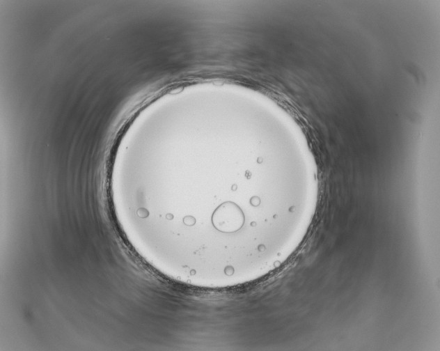 X0000111620293200908281119