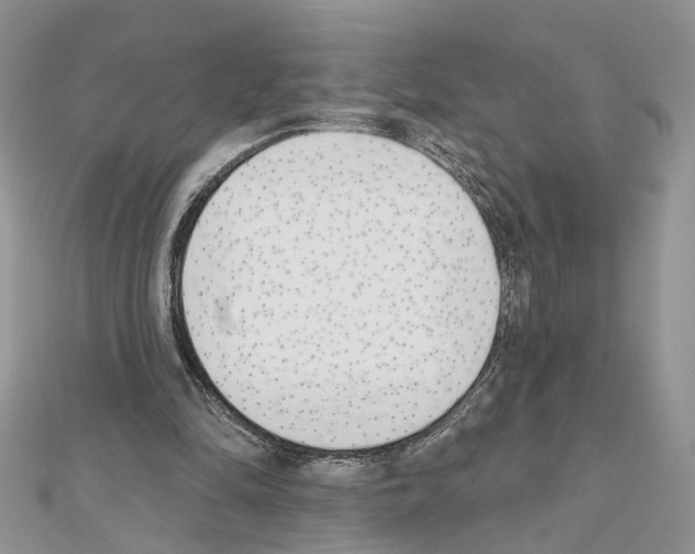 X0000111620294200908281119