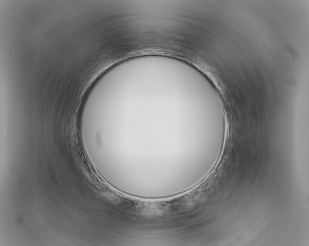 X0000111620297200908281119