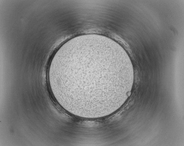 X0000111620298200908281119