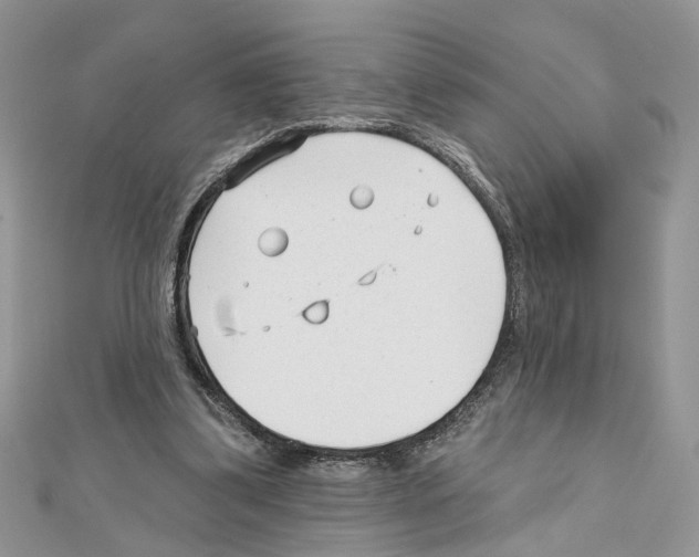 X0000111620299200908281119