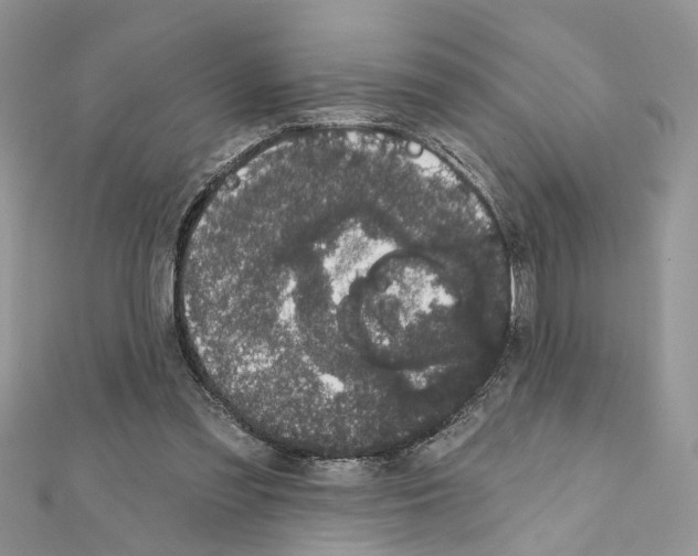 X0000111620301200908281119