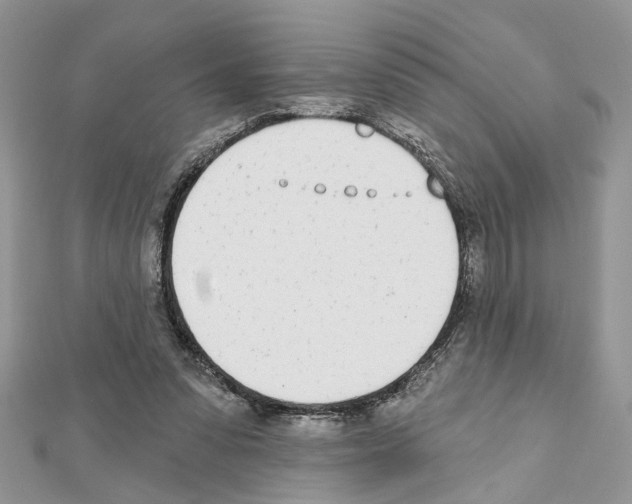 X0000111620303200908281119