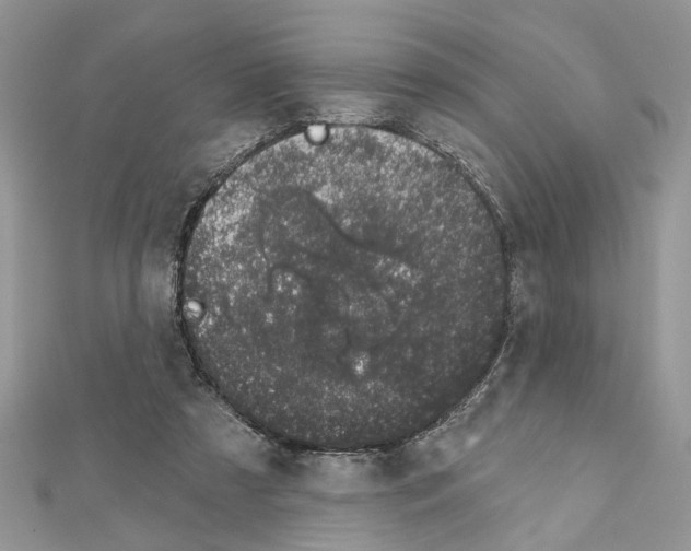 X0000111620305200908281119