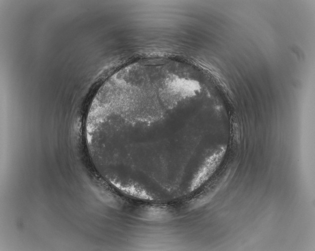 X0000111620308200908281119