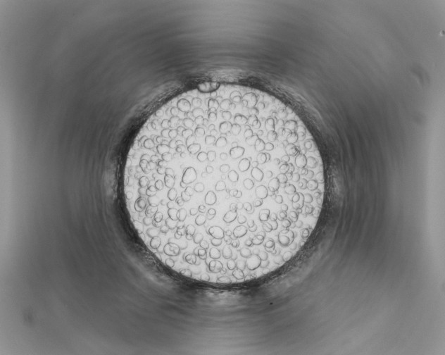 X0000111620311200908281119