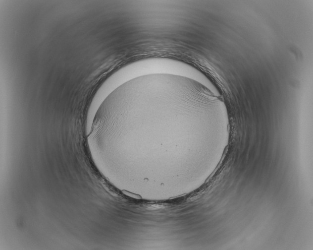 X0000111620313200908281119