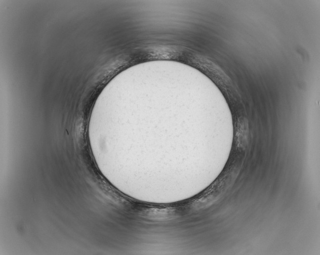 X0000111620314200908281119