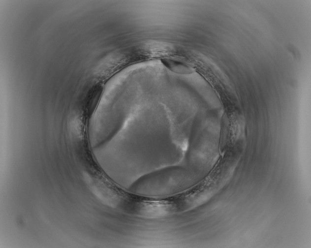 X0000111620316200908281119