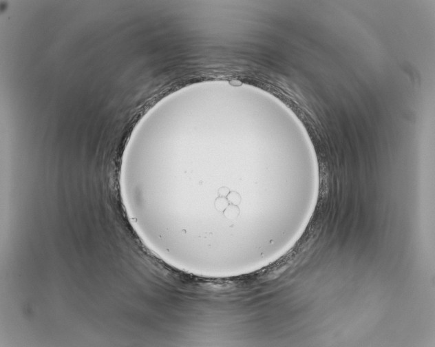 X0000111620317200908281119