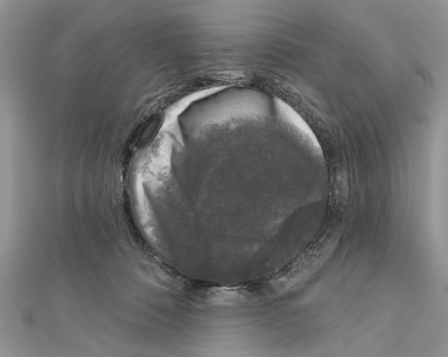 X0000111620320200908281118