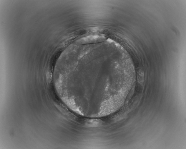 X0000111620324200908281118