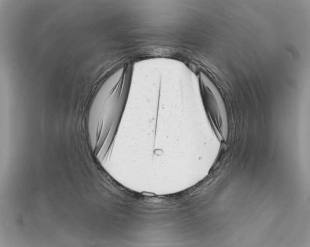 X0000111620325200908281118