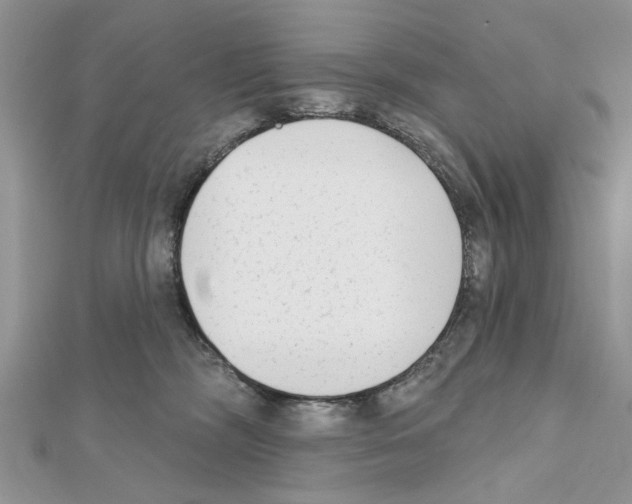 X0000111620326200908281118