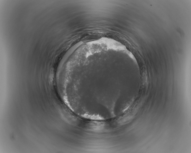 X0000111620328200908281118