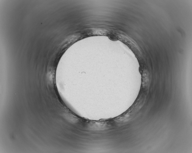 X0000111620329200908281118