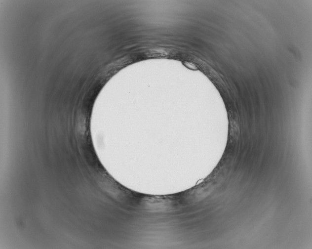 X0000111620331200908281118