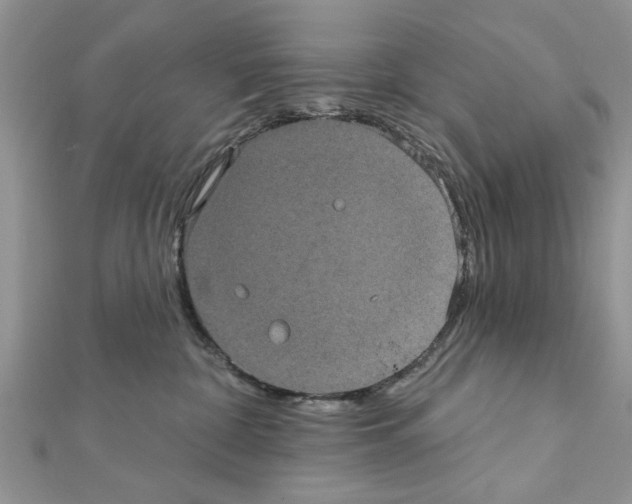 X0000111620332200908281118