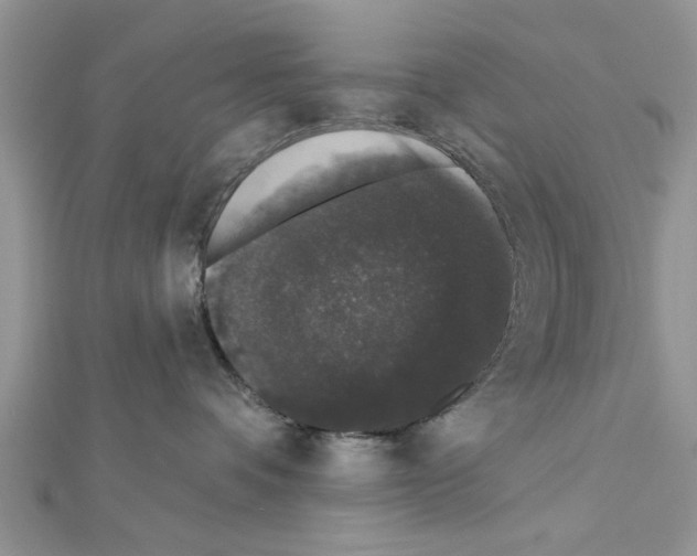 X0000111620336200908281118