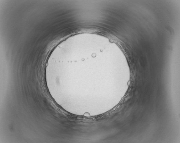 X0000111620337200908281117