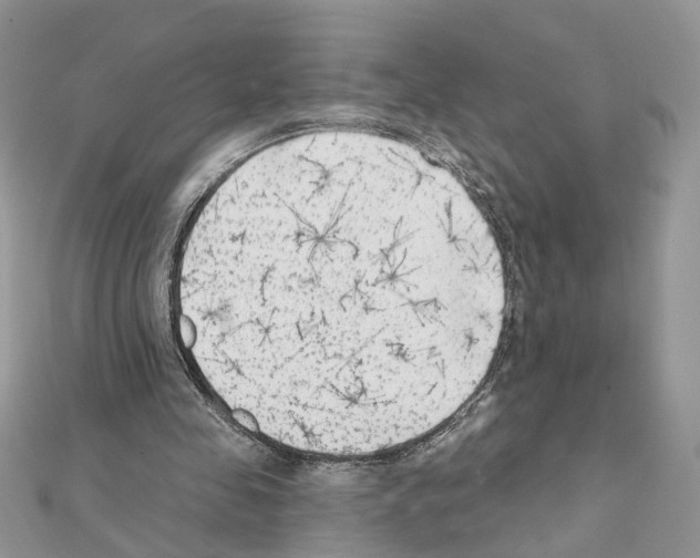 X0000111620341200908281118