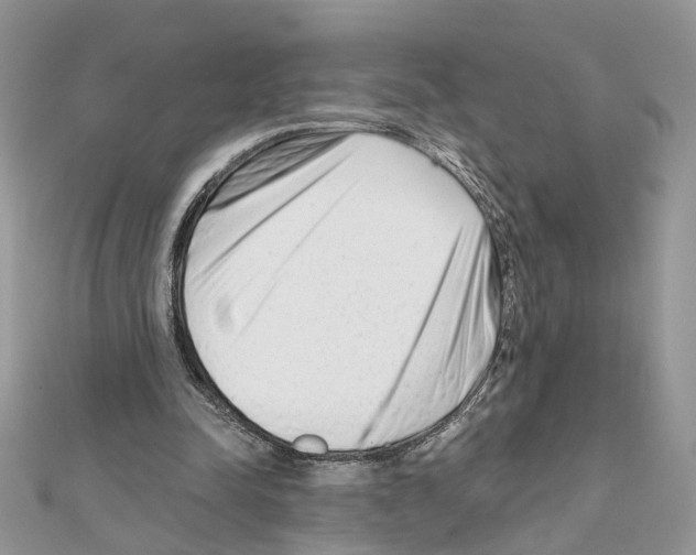 X0000111620342200908281118