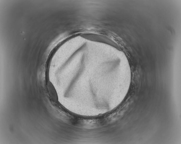 X0000111620344200908281118