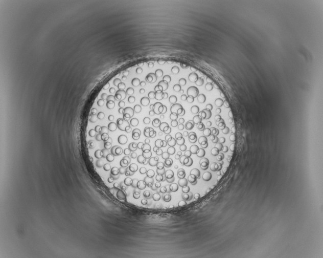 X0000111620346200908281118