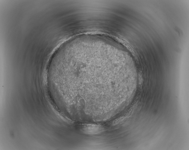 X0000111620347200908281118